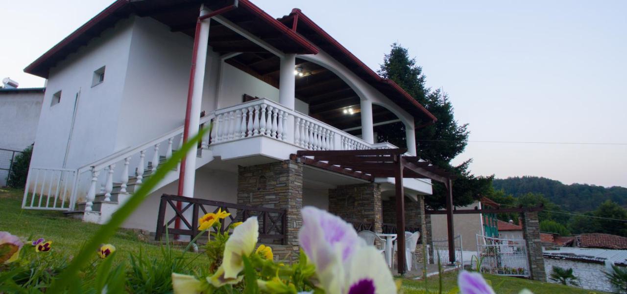 Villa Paradisos Likostomon エクステリア 写真
