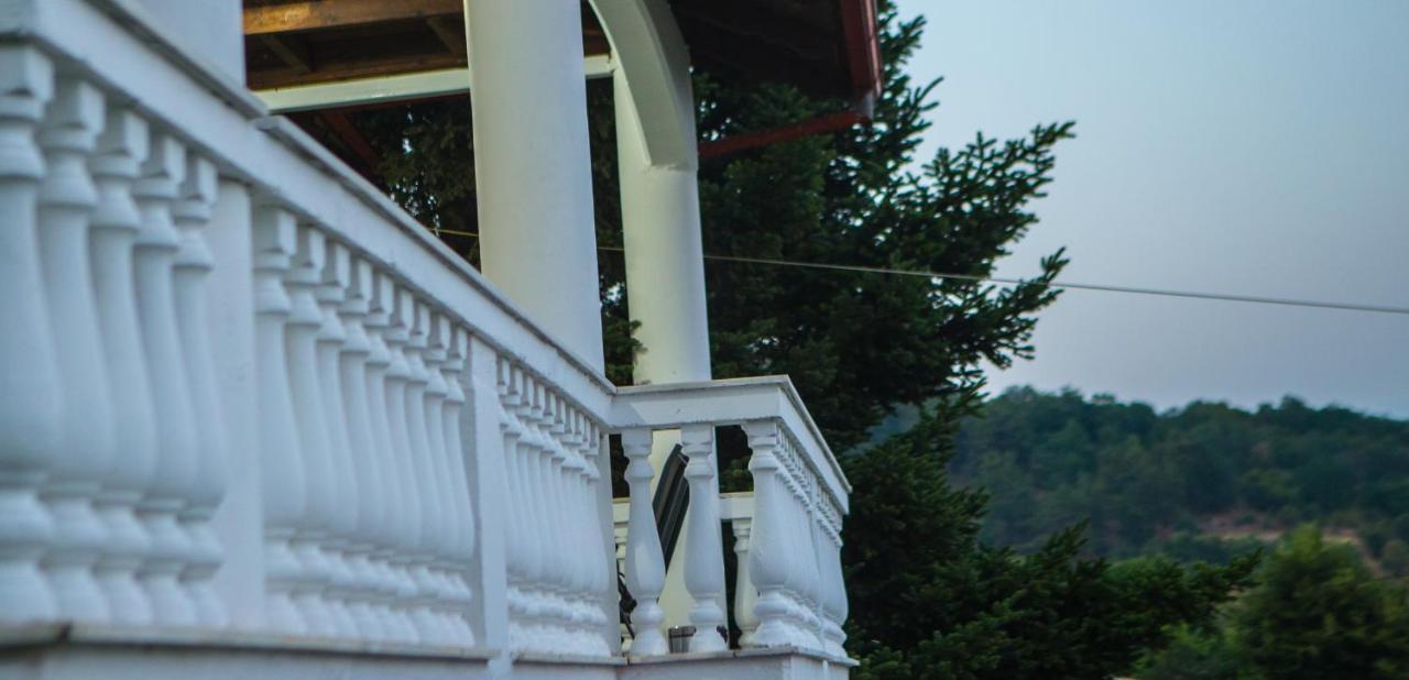 Villa Paradisos Likostomon エクステリア 写真