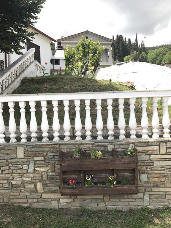 Villa Paradisos Likostomon エクステリア 写真